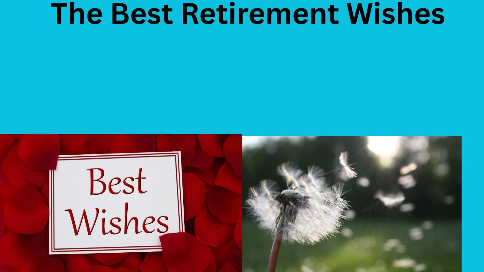 Read more about the article The Best Retirement Wishes: Heartfelt, Funny & Trending Messages